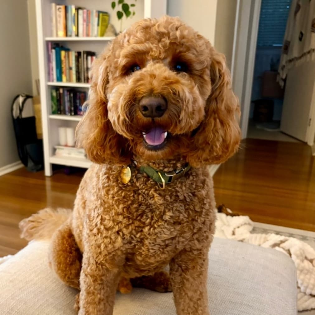 Luca