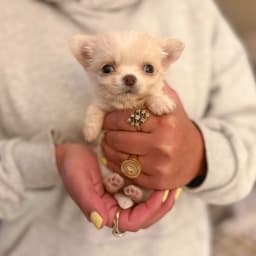 Evelyn Couch