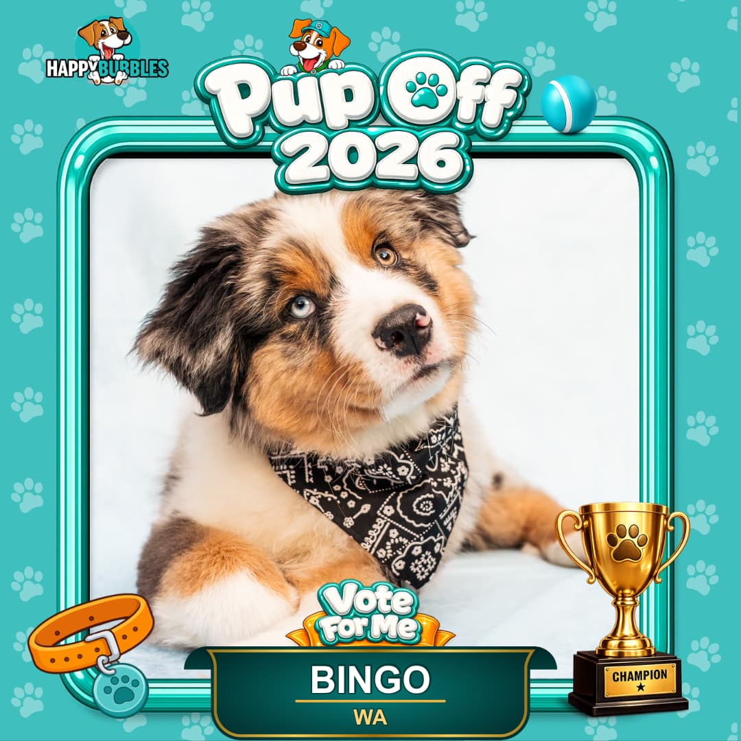 Bingo