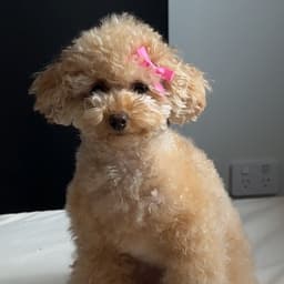 Prinnie